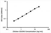 Chicken Collagen alpha-3(IX) chain (COL9A3) ELISA Kit (RK08172)