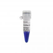 ДНК-маркер GN100bp DNA Ladder I (Servicebio GN100bp DNA Ladder I DNA Marker for Nucleic Acid Electrophoresis Analysis Reagent)
