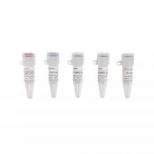 G3410-1000U Recombinant HRV 3C Protease with His-tag