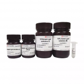 10% SDS-PAGE colored (red) gel ultra-fast preparation kit