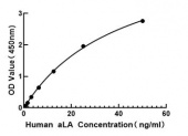 Human Alpha-Lactalbumin ELISA Kit (LALBA) (RK00858)