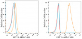 ABflo® 488 Rabbit anti-Human Cytokeratin 19 (KRT19) mAb (A22065)