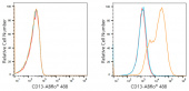 ABflo® 488 Rabbit anti-Human CD13/ANPEP mAb (A21944)