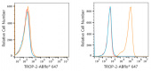 ABflo® 647 Rabbit anti-Goat IgG (Fab) fragment mAb (A22784)