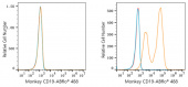 ABflo® 488 Rabbit anti-Human/Monkey CD19 mAb (A23008)
