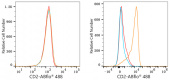 ABflo® 488 Rabbit anti-Human CD2 mAb (A23116)