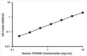 Human Transcription factor AP-2-beta (TFAP2B) ELISA Kit (RK06906)