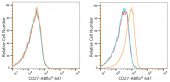ABflo® 647 Rabbit anti-Human CD27 mAb (A22064)
