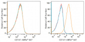 ABflo® 647 Rabbit anti-Human CD141/Thrombomodulin mAb (A22155)