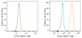 ABflo® 488 Rabbit anti-Mouse CD56/NCAM mAb (A23369)
