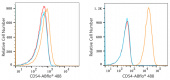 ABflo® 488 Rabbit anti-Human ICAM-1/CD54 mAb (A22312)