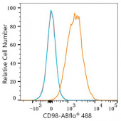 ABflo® 488 Rabbit anti-Mouse CD98 mAb (A23981)