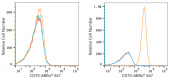 ABflo® 647 Rabbit anti-Human CD70 mAb (A22303)