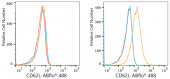 ABflo® 488 Rabbit anti-Human CD62L/L-Selectin mAb (A23020)