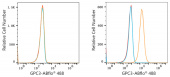 ABflo® 488 Rabbit anti-Human Glypican 3 (GPC3) mAb (A22631)