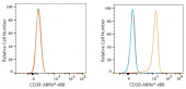 ABflo® 488 Rabbit anti-Human CD38 (A23747)