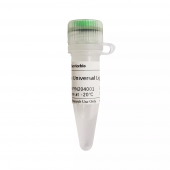 DNA Ligase 2 x Universal Ligation Mix with T4 DNA Ligase and buffer molecular biology reagent