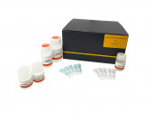 Animal Total RNA Isolation Kit