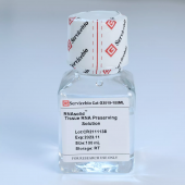 RNA solid tissue RNA stable preservation solution for Nucleic acid extraction reagent