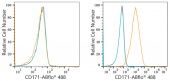 ABflo® 488 Rabbit anti-Human CD171/L1CAM mAb (A22590)