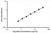 Canine Selectin,  Endothelium ELISA Kit (SELE) (RK00557)