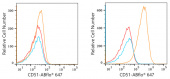 ABflo® 647 Rabbit anti-Human CD51 mAb (A22299)