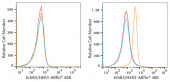 ABflo® 488 Rabbit anti-Human ErbB3/HER3 mAb (A22506)