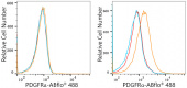 ABflo® 488 Rabbit anti-Human/Mouse PDGFRα/CD140a mAb (A22689)