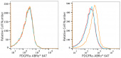 ABflo® 647 Rabbit anti-Human/Mouse PDGFRα/CD140a mAb (A22690)
