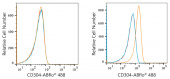 ABflo® 488 Rabbit anti-Human CD304/Neuropilin-1 mAb (A22579)