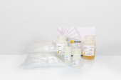 AFTSpin Multifunction DNA Purification Kit (RK30100)