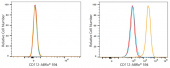 ABflo® 594 Rabbit anti-Human CD112/Nectin-2 mAb (A24329)
