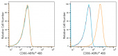 ABflo® 488 Rabbit anti-Human CD86 mAb (A21940)