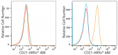 ABflo® 488 Rabbit anti-Human CR2/CD21 mAb (A22643)