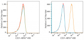 ABflo® 488 Rabbit anti-Human CD31/PECAM1 mAb (A22508)