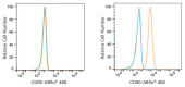 ABflo® 488 Rabbit anti-Human CD80/B7-1 mAb (A23729)