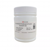Recombinant Proteinase K 10G Powder For Molecular Biology nucleic acid extraction