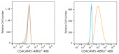 ABflo® 488 Rabbit anti-Human CEACAM5/CD66e mAb (A23021)