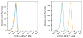 ABflo® 488 Rabbit anti-Human CD93 mAb (A23012)