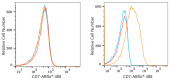 ABflo® 488 Rabbit anti-Human CD7 mAb (A22193)