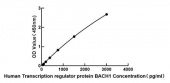 Human Transcription regulator protein BACH1 ELISA Kit (RK04128)