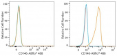 ABflo® 488 Rabbit anti-Mouse CD146 mAb (A24397)