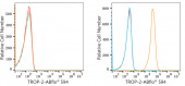 ABflo® 594 Rabbit anti-Goat IgG (Fc) fragment mAb (A22778)