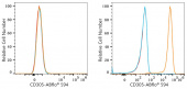 ABflo® 594 Rabbit anti-Human CD305/LAIR1 mAb (A23977)