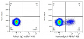 ABflo® 488 Rabbit anti-Human IgA1 mAb (A23394)