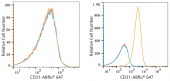 ABflo® 647 Rabbit anti-Human CD31/PECAM1 mAb (A22509)
