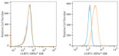 ABflo® 488 Rabbit anti-Human ULBP2 mAb (A22694)