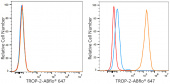 ABflo® 647 Rabbit anti-Human TROP-2 mAb (A24361)
