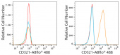 ABflo® 488 Rabbit anti-Human JAM-A/CD321/F11R mAb (A22592)
