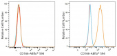 ABflo® 594 Rabbit anti-Human CD166/ALCAM mAb (A24582)